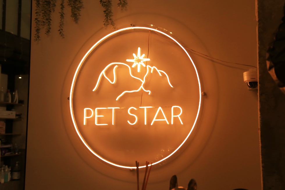 PET STAR - при работе над вывеской мы не стали выходить за отраслевые тенденции
